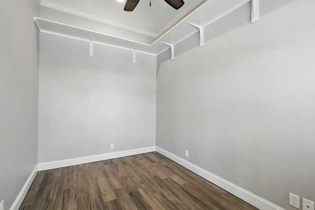 spacious closet featuring dark wood-style flooring and ceiling fan