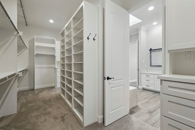 view of spacious closet