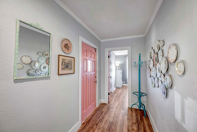 611 Storey Ave, Midland, TX 79703 - hallway with crown molding, wood finished floors, and baseboards