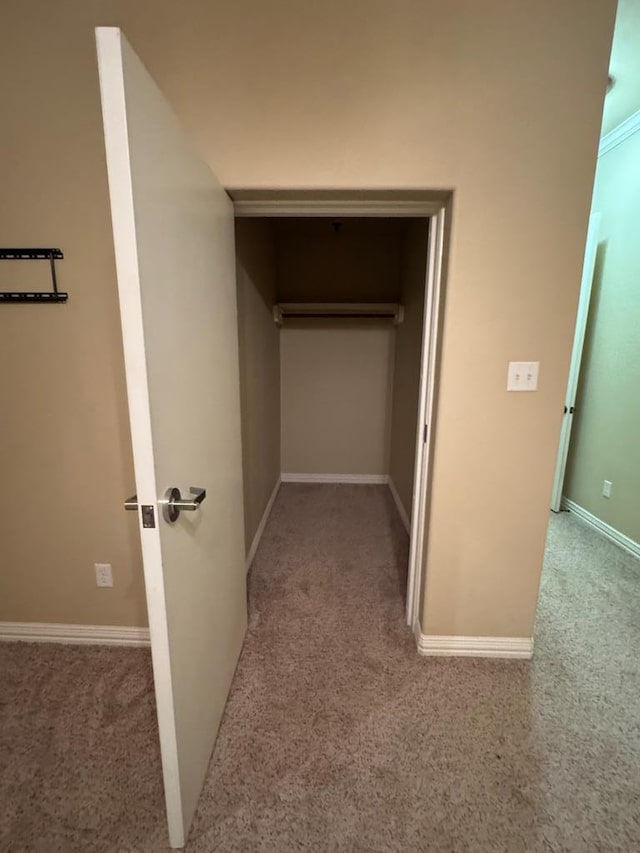 walk in closet with light colored carpet