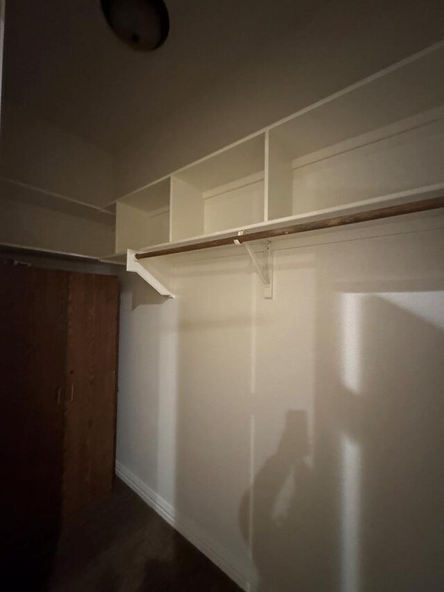 walk in closet featuring dark hardwood / wood-style flooring