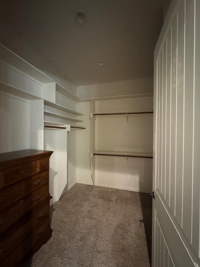 spacious closet with carpet flooring