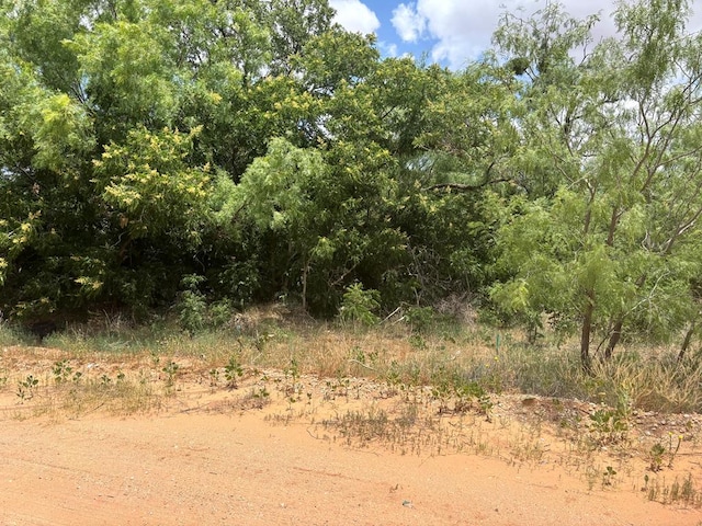 000 Watson, Colorado City, TX 79512 - photo 1