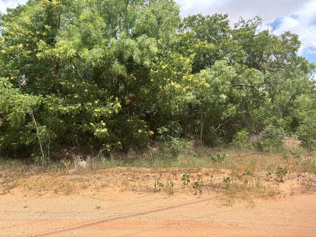000 Watson, Colorado City, TX 79512 - photo 3