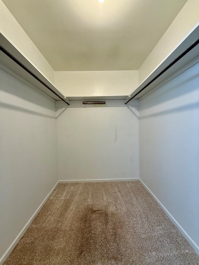 walk in closet featuring carpet