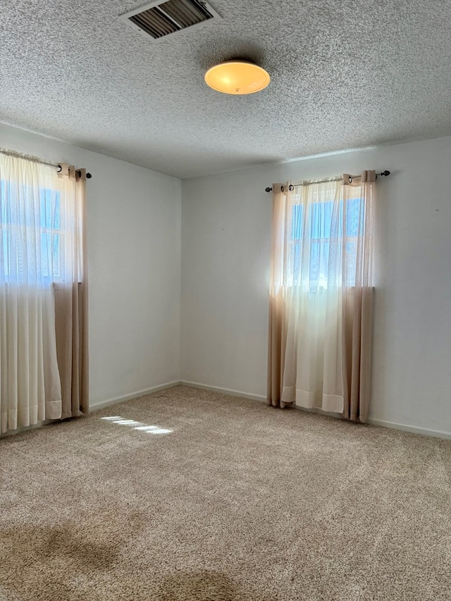 carpeted empty room featuring plenty of natural light and a textured ceiling