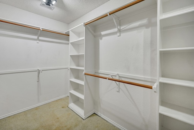 spacious closet featuring carpet and visible vents