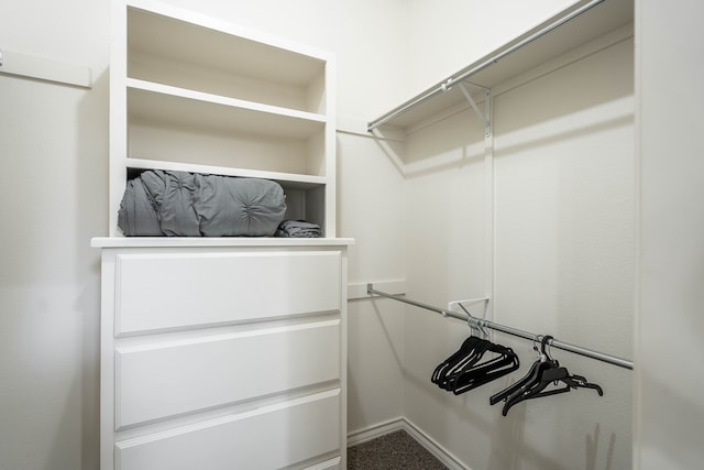 spacious closet featuring carpet flooring