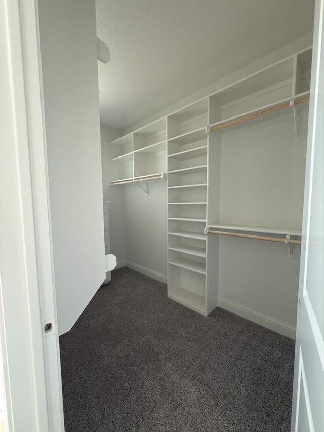 spacious closet with dark carpet