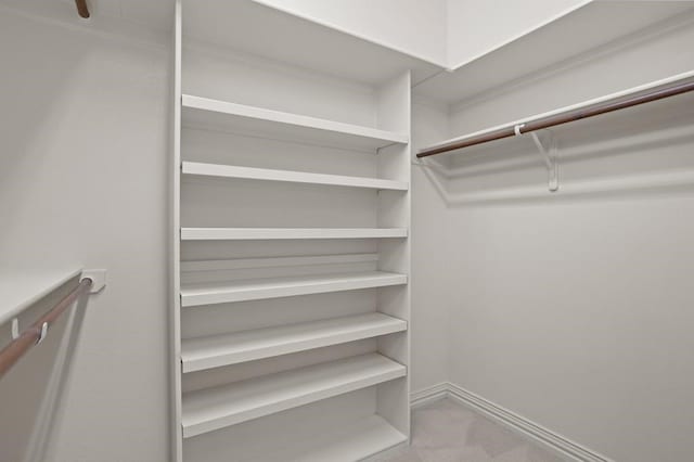 spacious closet featuring carpet floors