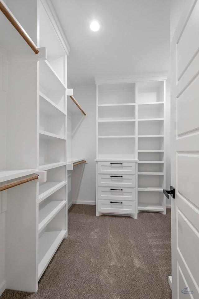 walk in closet featuring carpet flooring