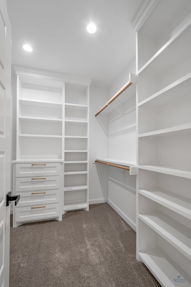 spacious closet with carpet floors