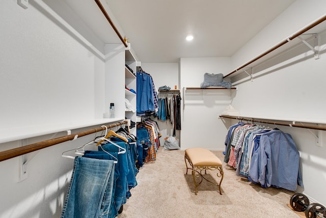 walk in closet featuring carpet flooring