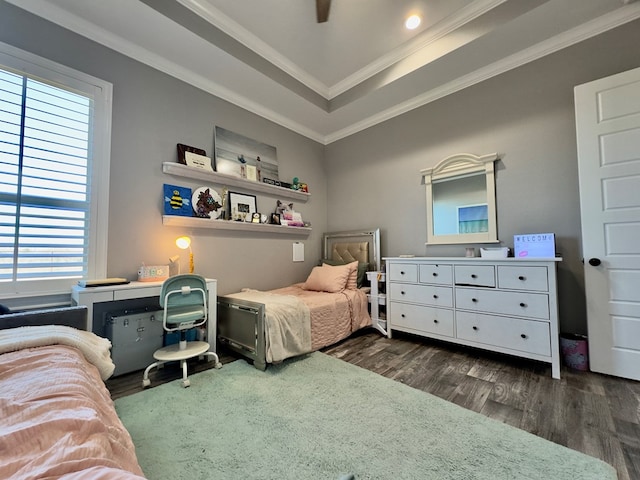 bedroom with ornamental molding, a raised ceiling, dark hardwood / wood-style floors, and multiple windows