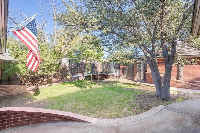 view of yard featuring a trampoline