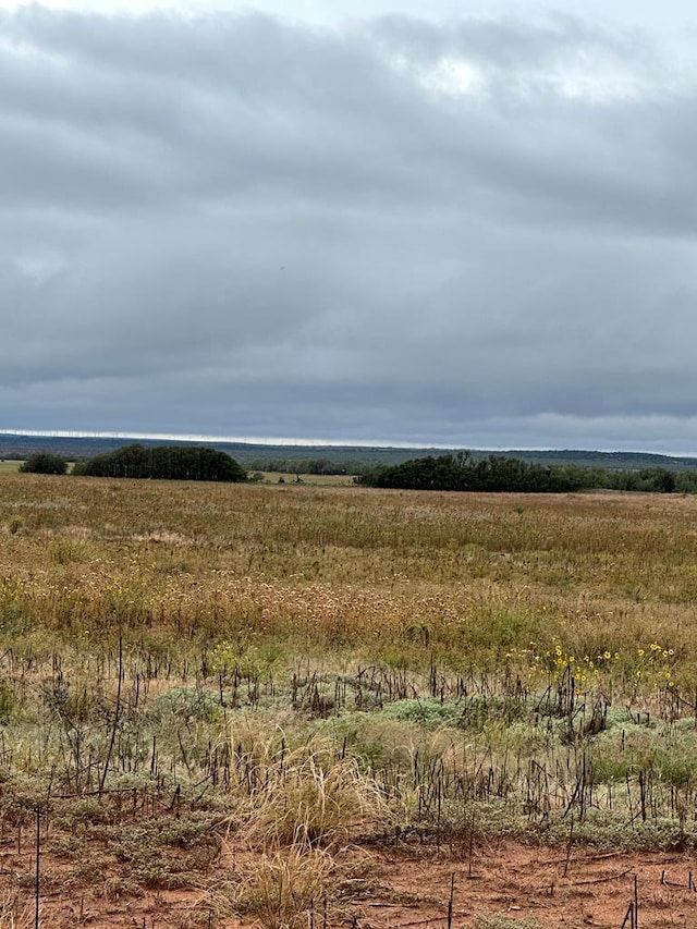 000 County Rd 343, Colorado City, TX 79512 - photo 8