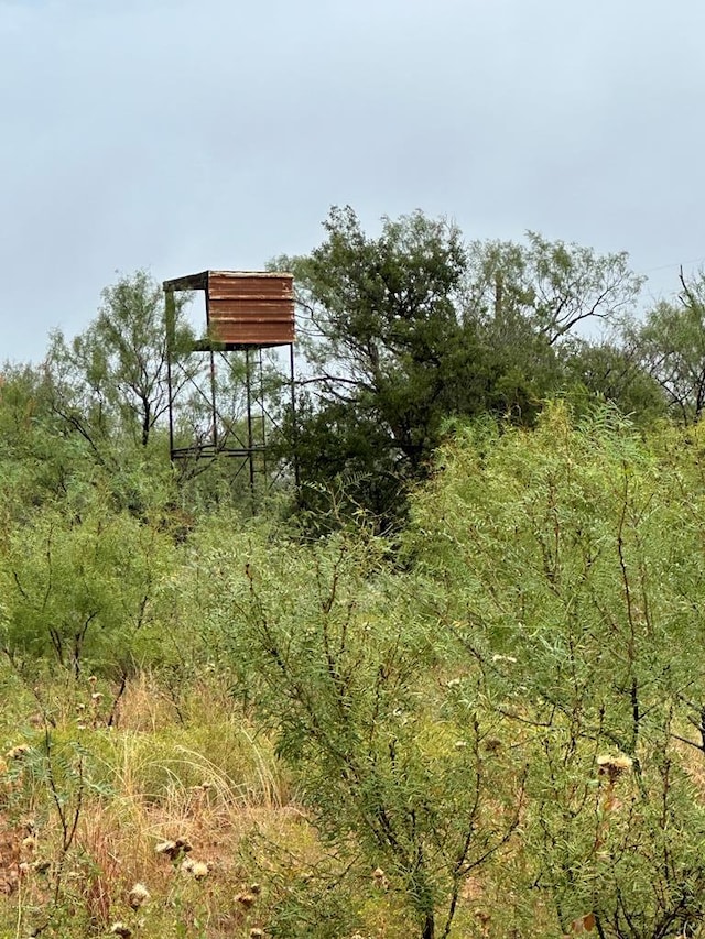 000 County Rd 343, Colorado City, TX 79512 - photo 6