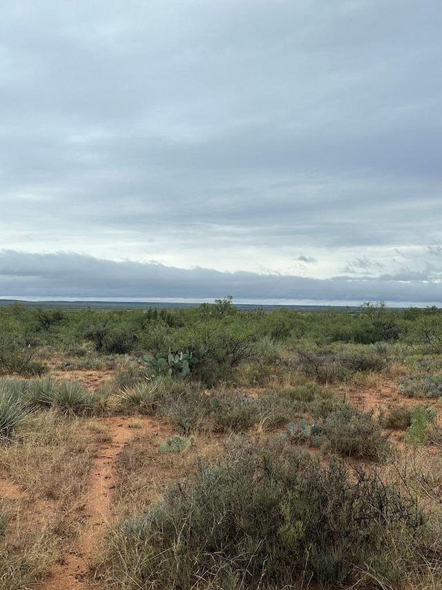 000 County Rd 343, Colorado City, TX 79512 - photo 2