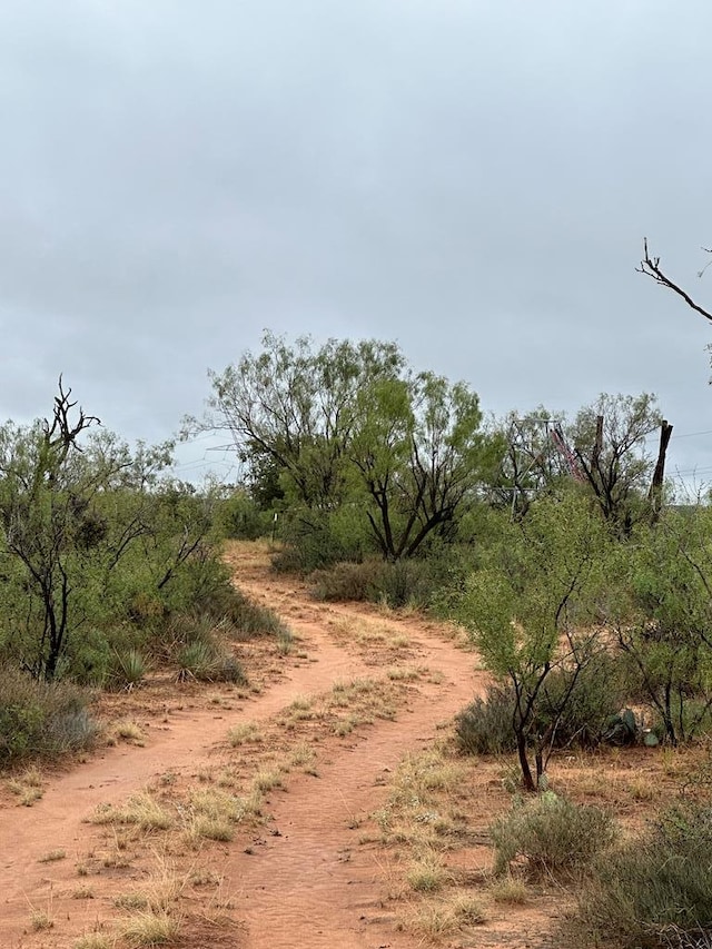 000 County Rd 343, Colorado City, TX 79512 - photo 5