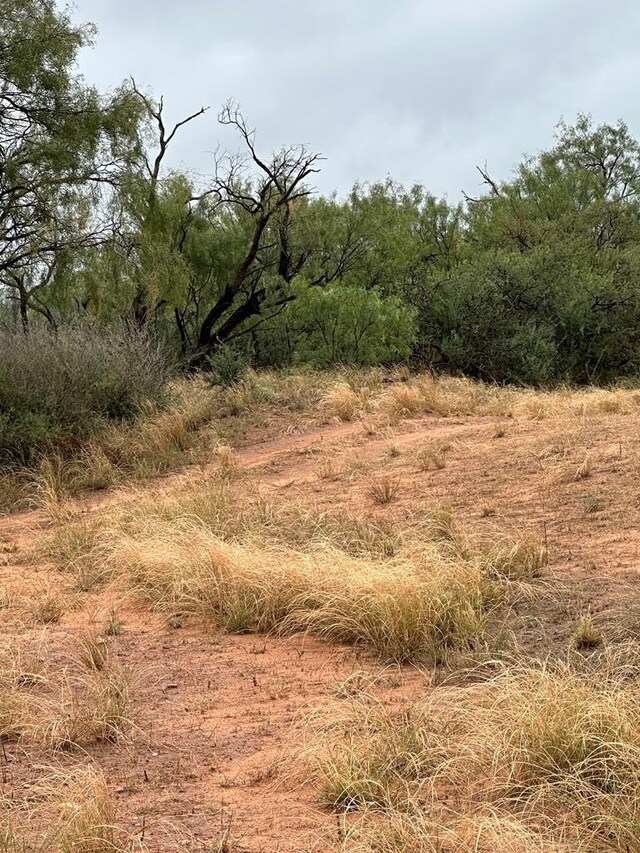 000 County Rd 343, Colorado City, TX 79512 - photo 9
