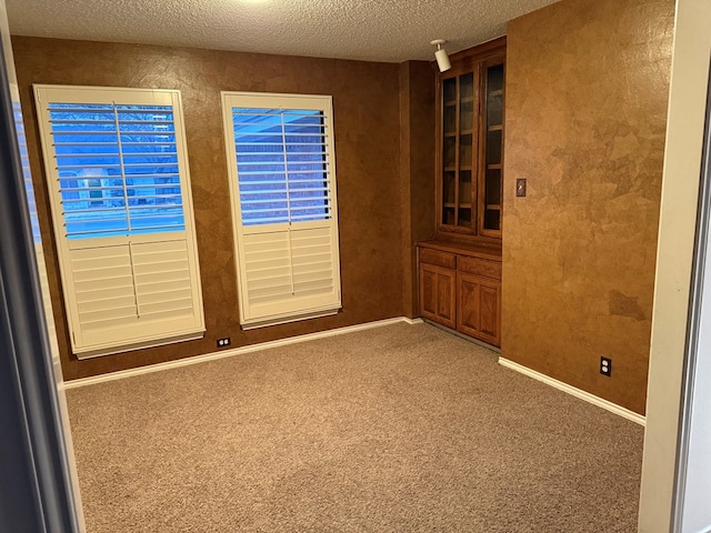 empty room featuring carpet floors and a textured ceiling