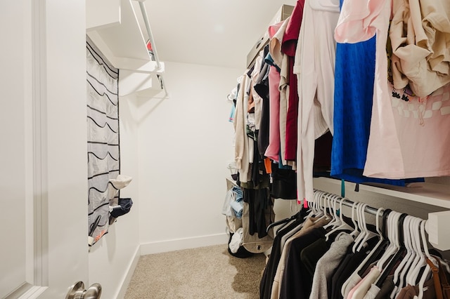 2623 E Ranch Ave, Midland, TX 79705 - walk in closet featuring carpet