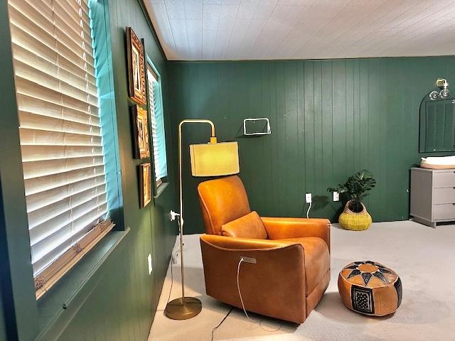 sitting room with light carpet