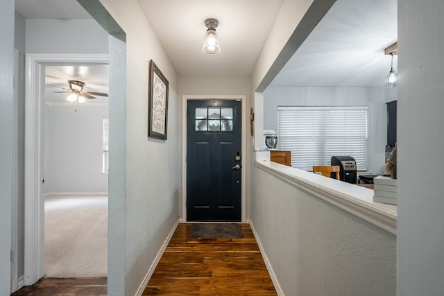 foyer featuring ceiling fan, baseboards, dark wood-type flooring, and a textured wall