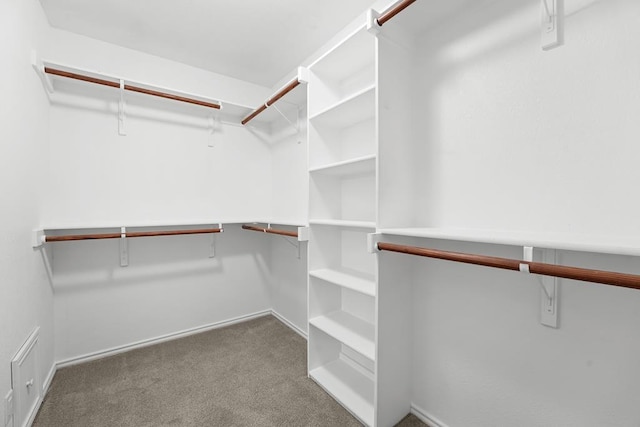 4910 Rio Grande Ave, Midland, TX 79707 - spacious closet with carpet floors