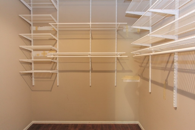 walk in closet with wood-type flooring