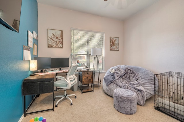 office space featuring carpet floors and ceiling fan