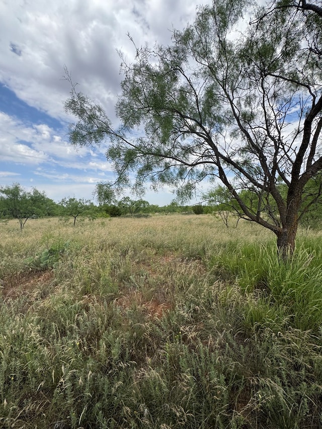 00 Fm 461, Snyder, TX 79549 - photo 6
