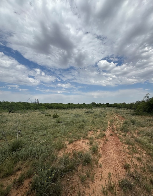 00 Fm 461, Snyder, TX 79549 - photo 9
