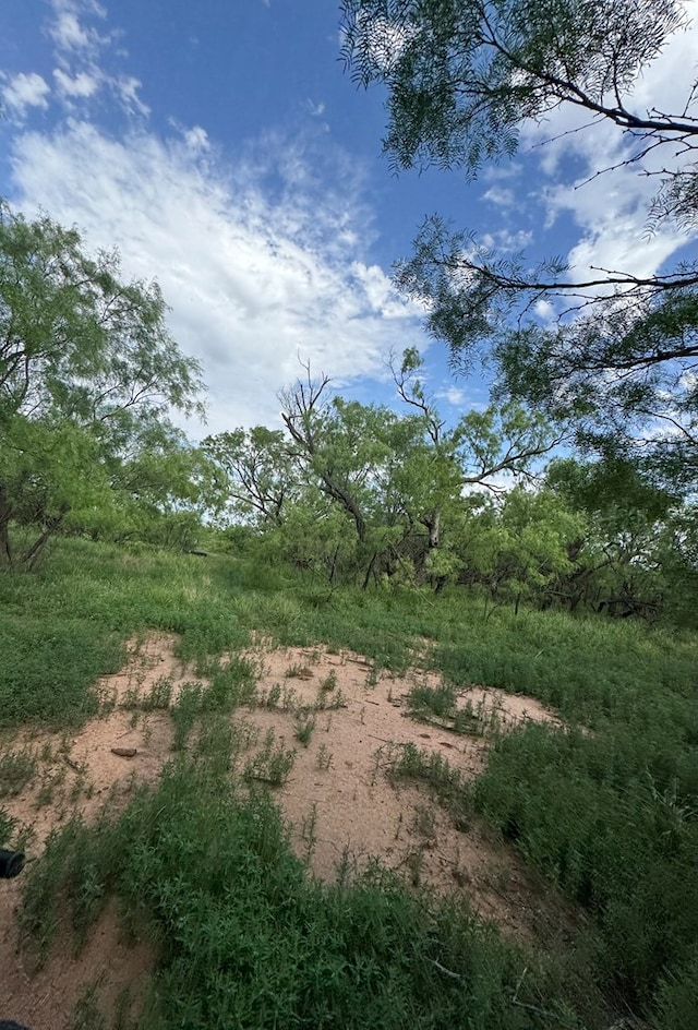 00 Fm 461, Snyder, TX 79549 - photo 2