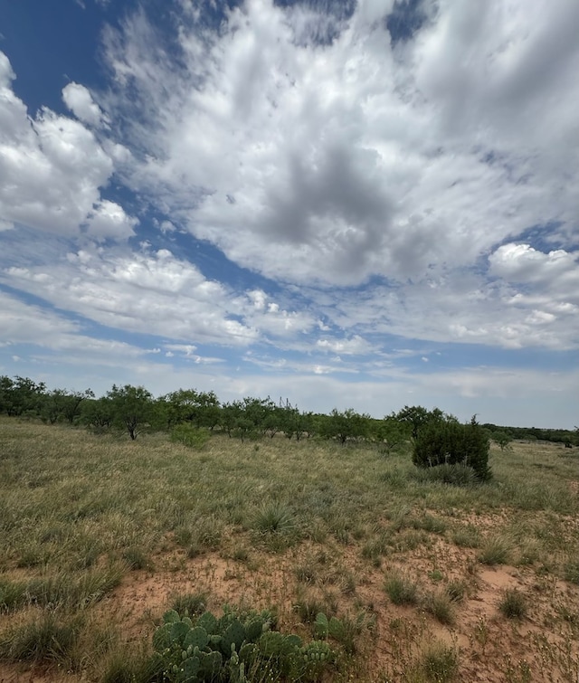 00 Fm 461, Snyder, TX 79549 - photo 10
