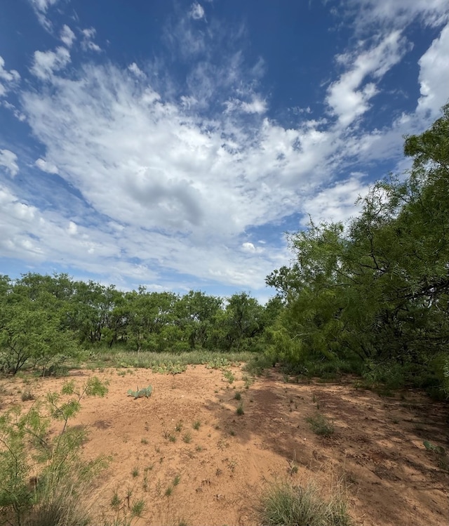 00 Fm 461, Snyder, TX 79549 - photo 4