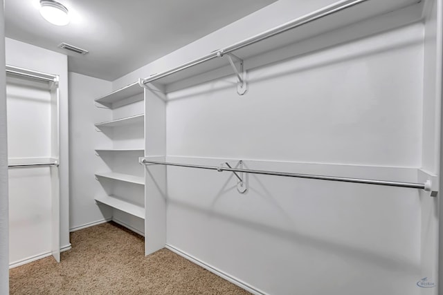 spacious closet with light carpet