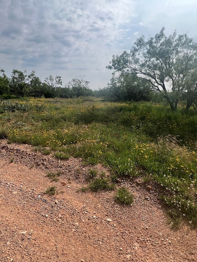 Listing photo 3 for LOT9 County Rd 351, Snyder TX 79330