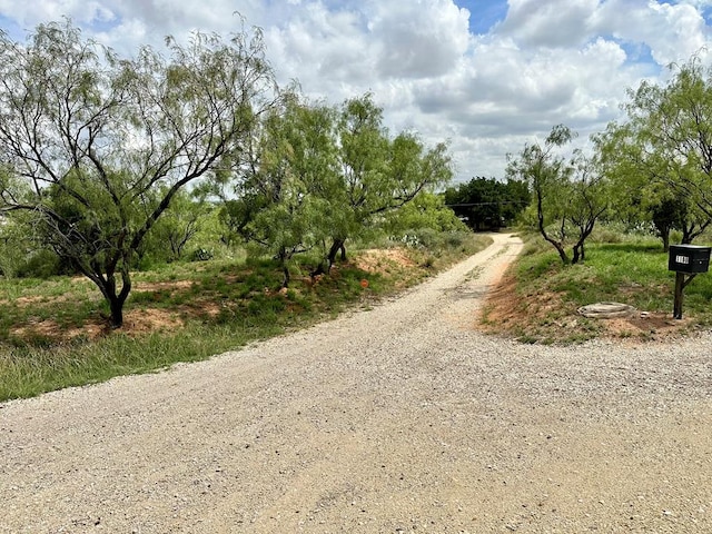 1100 Lcr 248, Colorado City, TX 79512 - photo 2
