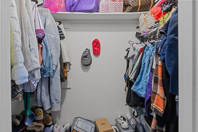 view of walk in closet