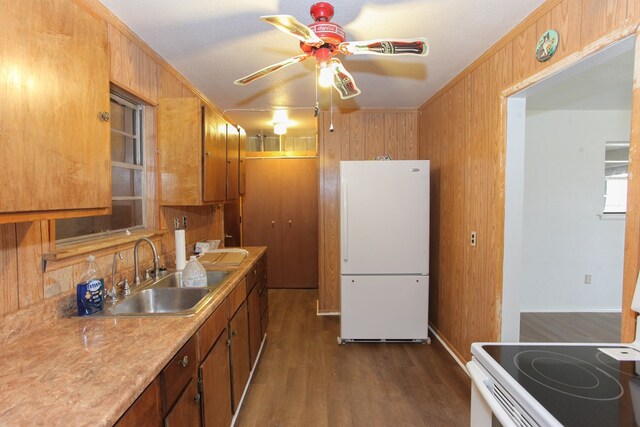 kitchen with sink, dark hardwood / wood-style floors, crown molding, wood walls, and white appliances