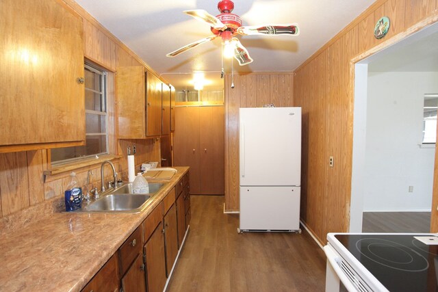 kitchen with dark hardwood / wood-style floors, white refrigerator, sink, and wooden walls