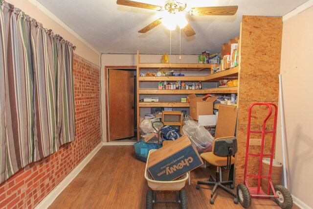 storage room with ceiling fan