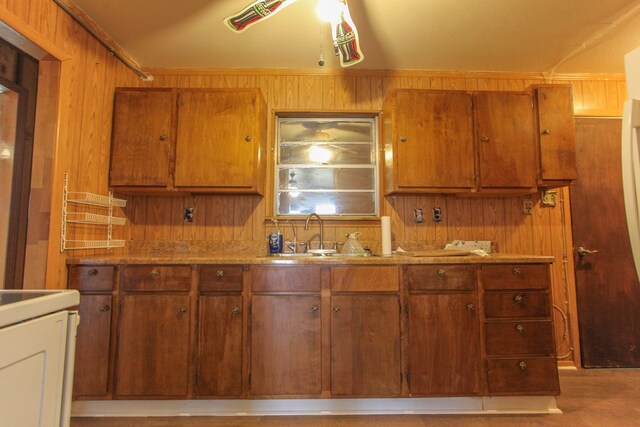 kitchen featuring wood walls, crown molding, stove, and sink