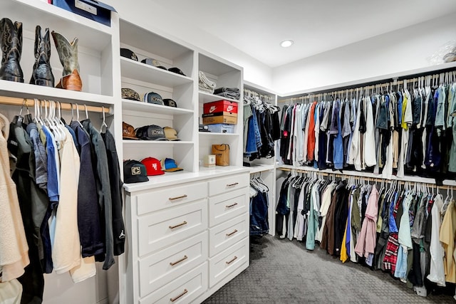 spacious closet with carpet