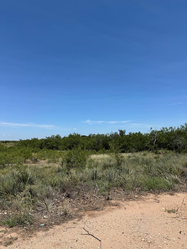 001 32nd St, Snyder, TX 79549 - photo 1