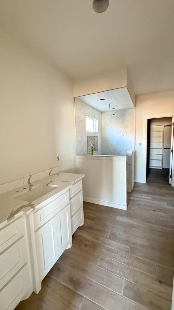 bathroom featuring hardwood / wood-style flooring and sink