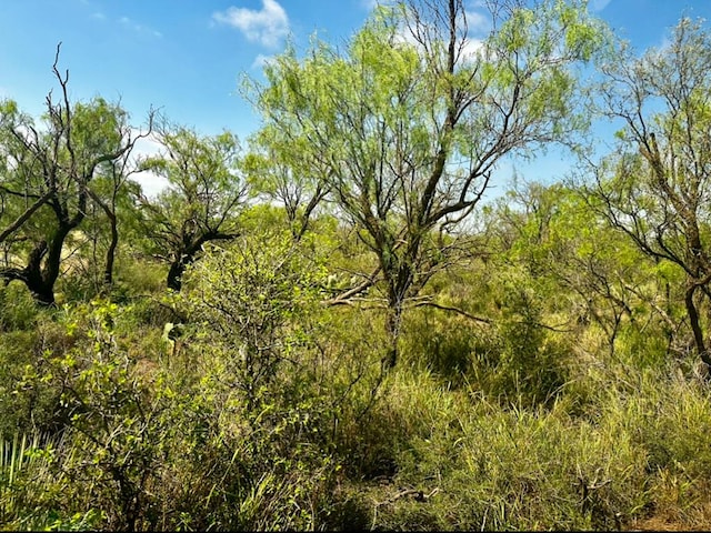 view of nature