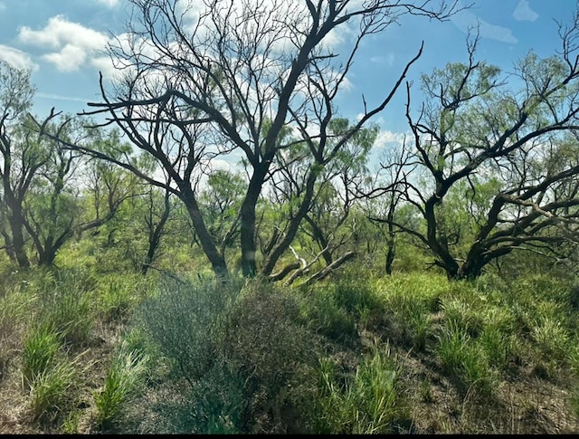 view of landscape