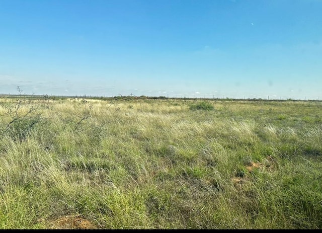 view of local wilderness with a rural view